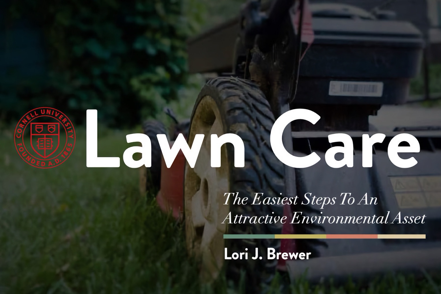 lawn-care-steps-3